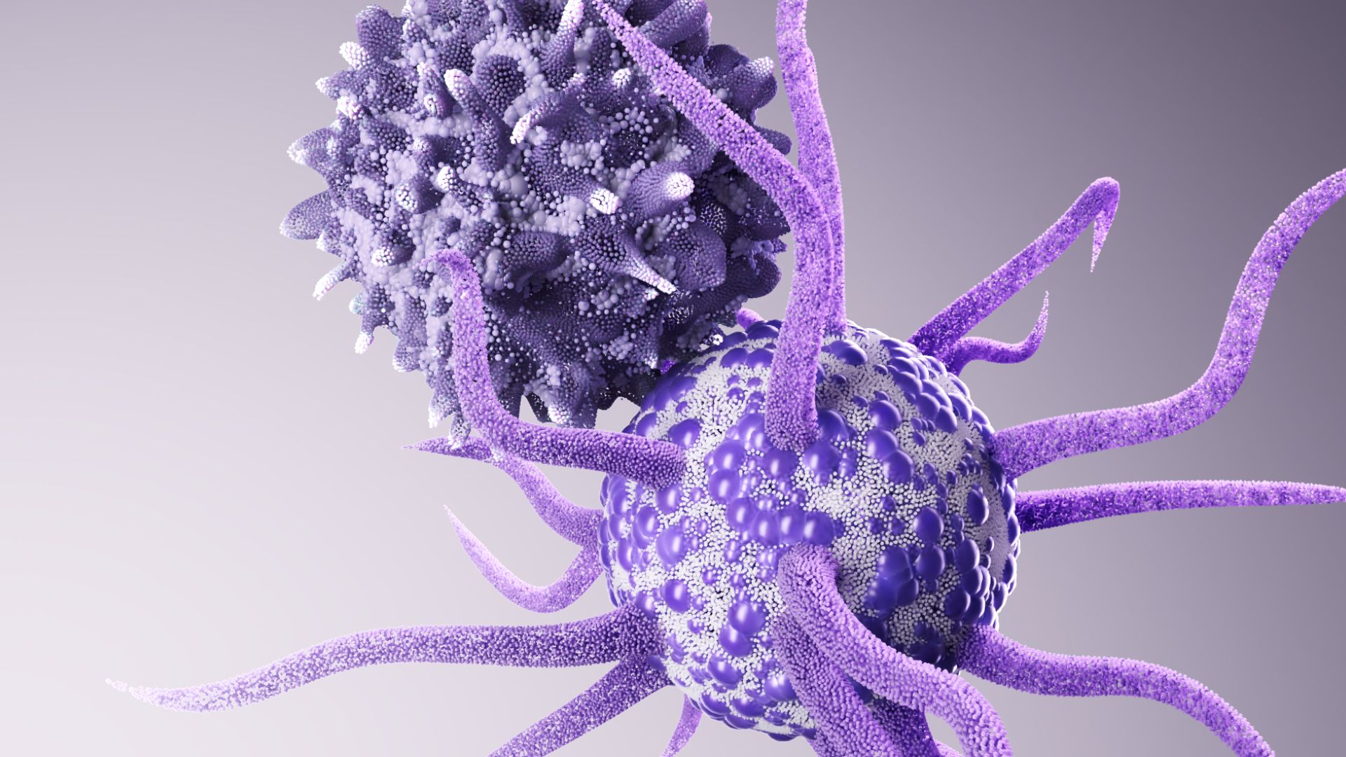 T Cell in 3D